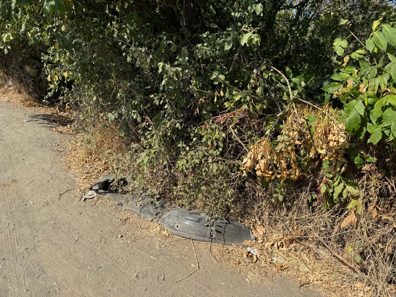 Garbamon, 42.379, 27.719